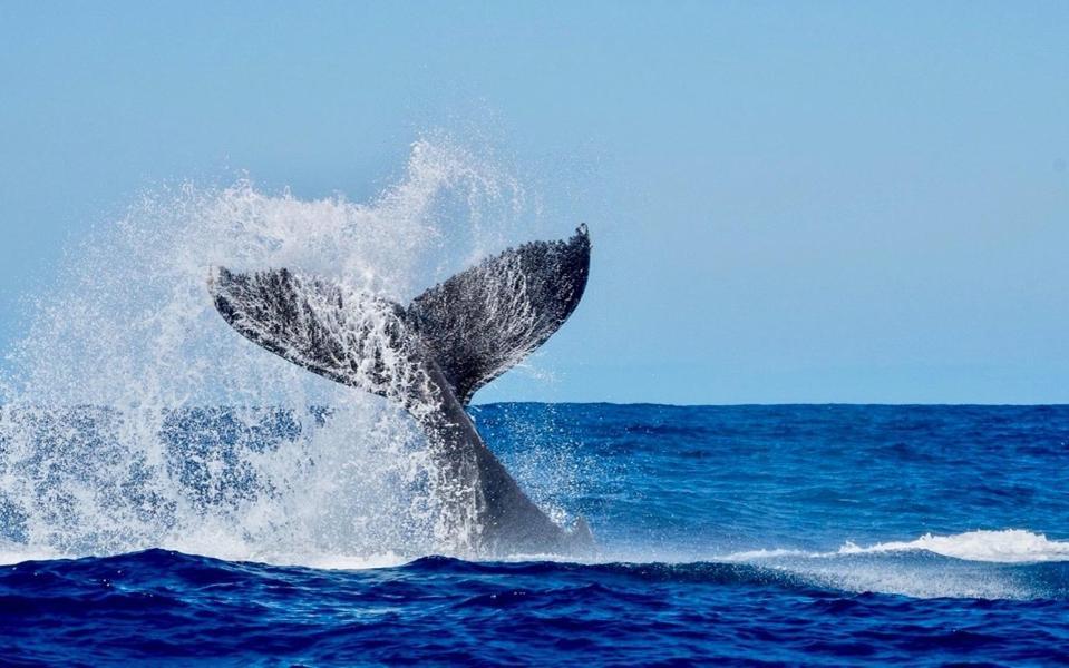شقة Au Bord De L'Eau لا سالين لو باين المظهر الخارجي الصورة